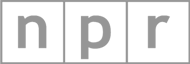 A gray letter p on top of a black background.